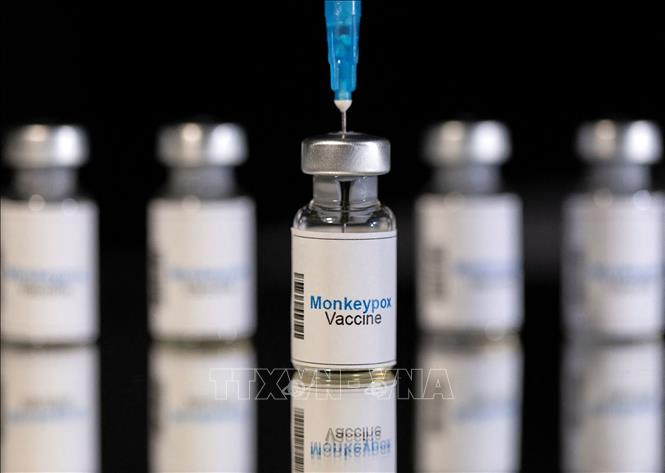 Hình ảnh mô phỏng vaccine phòng bệnh đậu mùa khỉ, ngày 25-5-2022. Ảnh tư liệu: REUTERS/TTXVN