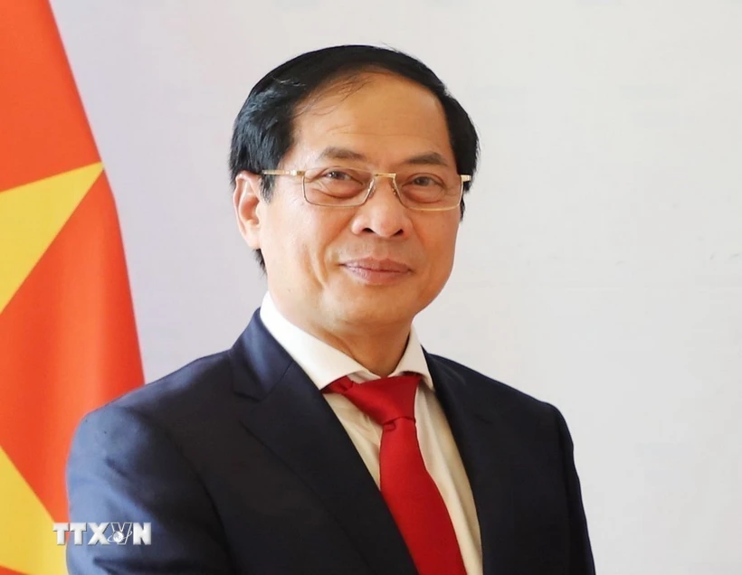 Phó Thủ tướng, Bộ trưởng Ngoại giao của Việt Nam và Lào điện đàm trực tuyến Phó Thủ tướng, Bộ trưởng Ngoại giao Việt Nam Bùi Thanh Sơn. (Nguồn: TTXVN)