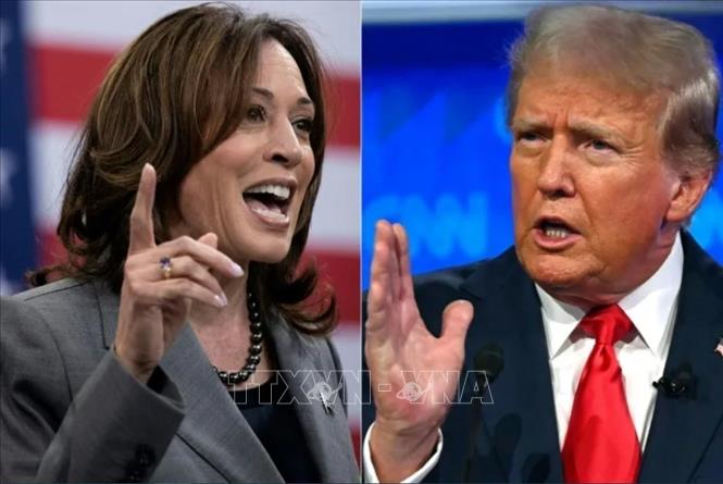 Phó Tổng thống Mỹ Kamala Harris (trái) và cựu Tổng thống Donald Trump. Ảnh: AP/TTXVN