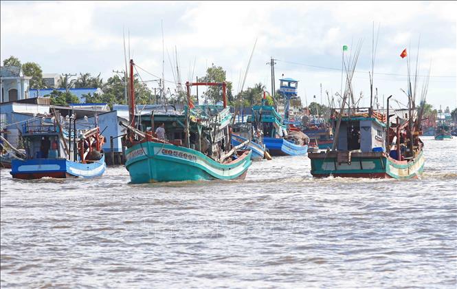 Tỉnh Cà Mau đã triển khai sử dụng phần mềm quản lý liên thông kiểm soát tàu cá ra, vào cửa biển phải có sự kiểm soát của Cảng cá, Văn phòng IUU , Trạm kiểm soát Biên phòng. Ảnh minh họa: Huỳnh Anh/TTXVN