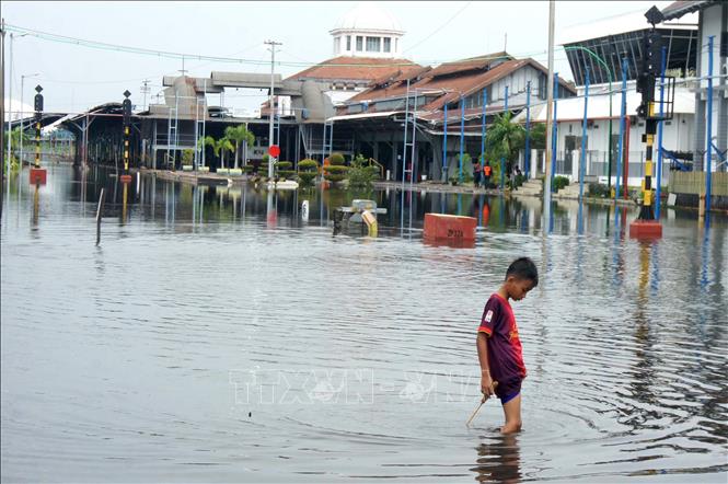 Cảnh ngập lụt sau những trận mưa lớn tại Semarang, Trung Java, Indonesia. Ảnh tư liệu: THX/TTXVN