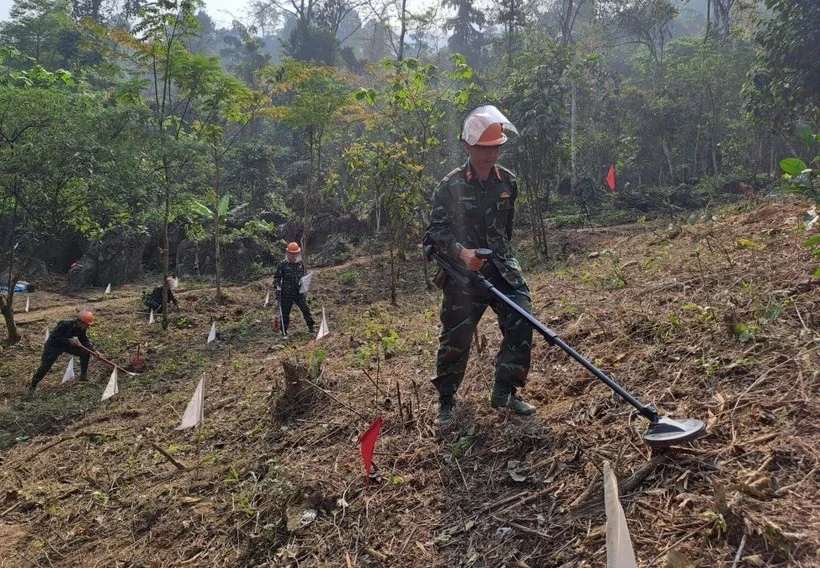 Ảnh minh họa. (Ảnh: Đức Thọ/TTXVN)