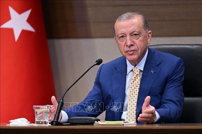 Tổng thống Thổ Nhĩ Kỳ Recep Tayyip Erdogan phát biểu với báo giới tại Istanbul. Ảnh tư liệu: THX/TTXVN