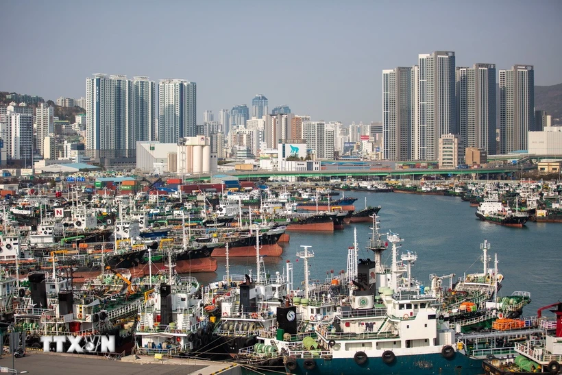 WB và IMF hạ dự báo tăng trưởng kinh tế châu Á-Thái Bình Dương năm 2025 Quang cảnh cảng hàng hóa ở Busan (Hàn Quốc). (Ảnh: THX/TTXVN)