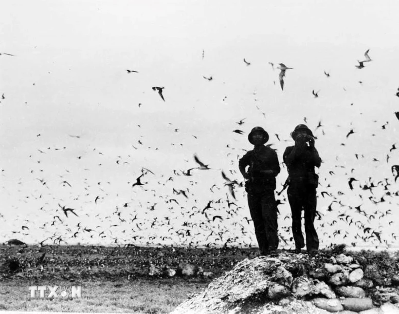 50 năm thống nhất đất nước-Ngày 29-4-1975: Giải phóng quần đảo Trường Sa Bộ đội Hải quân trên đảo Trường Sa được giải phóng, ngày 29-4-1975. (Ảnh: Nguyễn Khắc Xuế/TTXVN phát)
