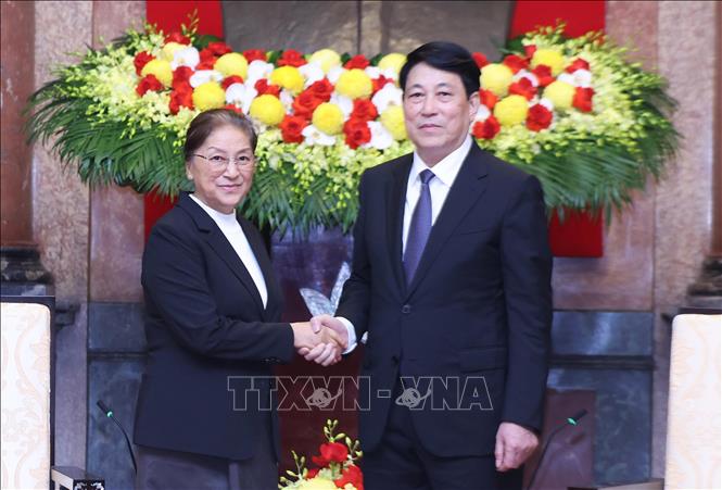 Chủ tịch nước Lương Cường tiếp Phó Chủ tịch nước Lào Pany Yathotou. Ảnh: Lâm Khánh/TTXVN
