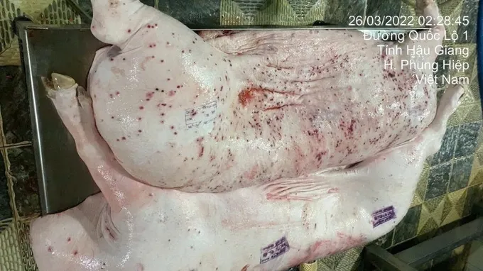 Bộ Nông nghiệp và Môi trường yêu cầu chấn chỉnh thị trường thịt heo