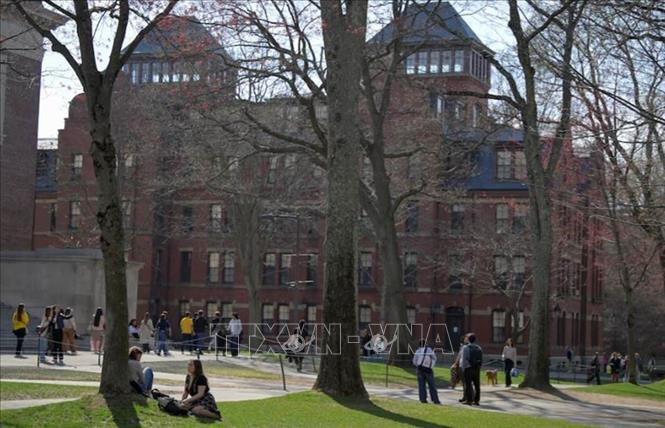 Sinh viên trong khuôn viên Đại học Harvard ở Cambridge, bang Massachusetts, Mỹ ngày 15-4. Ảnh: REUTERS/TTXVN