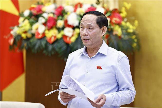 Sửa luật đảm bảo tính khả thi khi sắp xếp bộ máy Phó Chủ tịch Quốc hội Trần Quang Phương phát biểu. Ảnh: Doãn Tấn/TTXVN