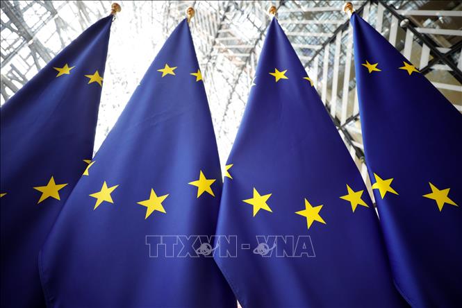 Các nước Baltic ra tuyên bố ủng hộ Ukraine gia nhập EU và NATO Cờ Liên minh châu ÂU (EU) tại Brussels, Bỉ. Ảnh: AFP/TTXVN