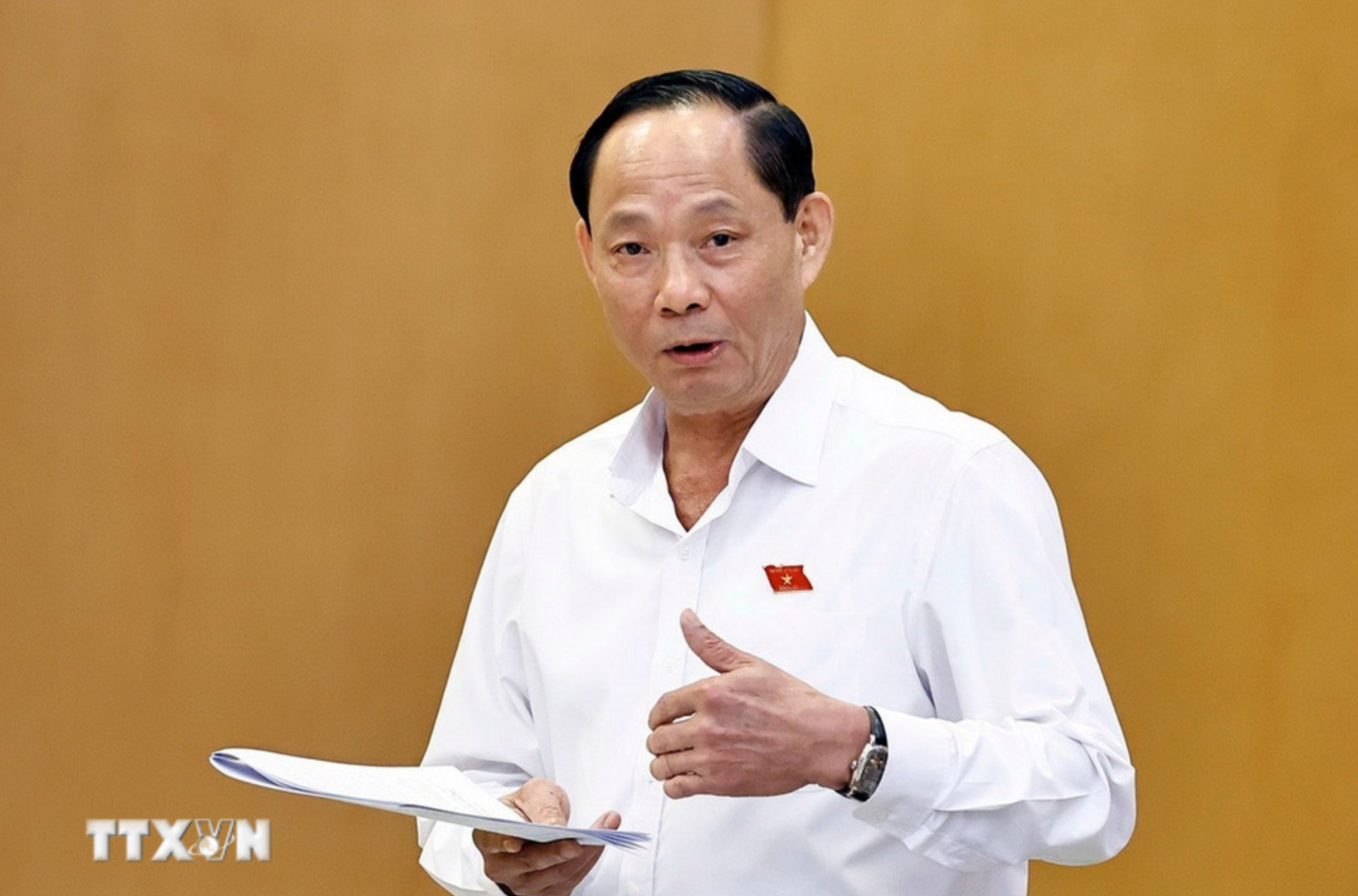 Phó Chủ tịch Quốc hội Trần Quang Phương phát biểu. Ảnh: Doãn Tấn/TTXVN